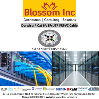 Derwiser CAT6A SFTP FRPVC Cable