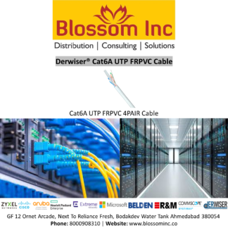 Derwiser CAT6A UTP FRPVC Cable